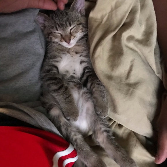 Meet your Posher, Keisha - Picture 1 of 1